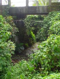 Aménagement de la Ravine de Moutte (Martinique)