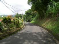 Surlageur route - RD/15bis - Rivire Lzarde - Gros-Morne (Martinique)