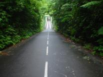 RD 10 Grand-Rivire (Martinique)